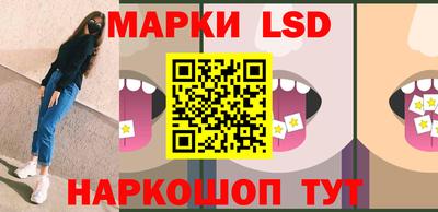 стафф Заводоуковск