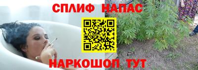 стафф Заводоуковск
