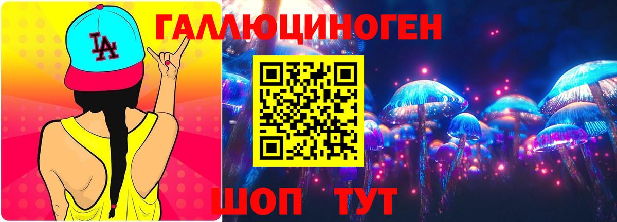 дарнет шоп  Вход с VPN  Галлюциногенные грибы мухоморы  Геленджик  Галлюциногенные грибы Magic Shrooms 